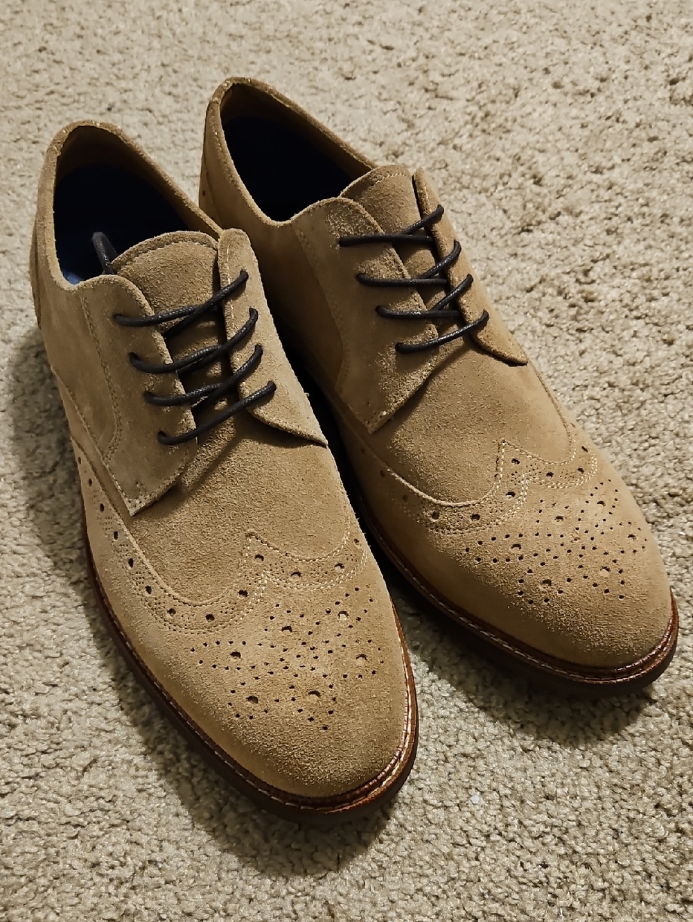 Steve Madden Men's Suede Wingtip Derby in Taupe